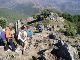 photo coins arrondis